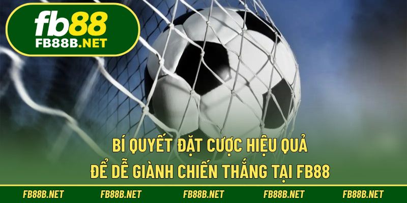 Bí quyết đặt cược hiệu quả để dễ giành chiến thắng tại FB88
