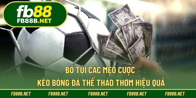 Bỏ túi các mẹo cược kèo bóng đá thể thao thơm hiệu quả