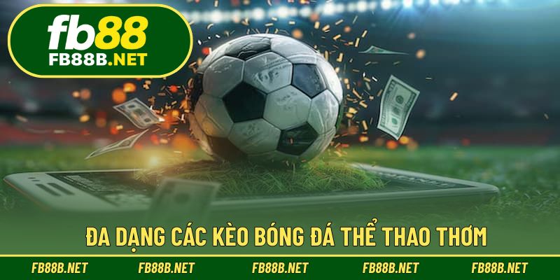 Đa dạng các kèo bóng đá thể thao thơm