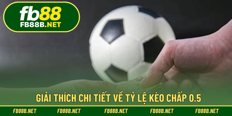 Giải thích chi tiết về tỷ lệ kèo chấp 0.5