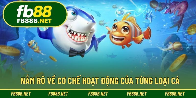 Hiểu về cơ chế di chuyển và đặc điểm từng loại cá