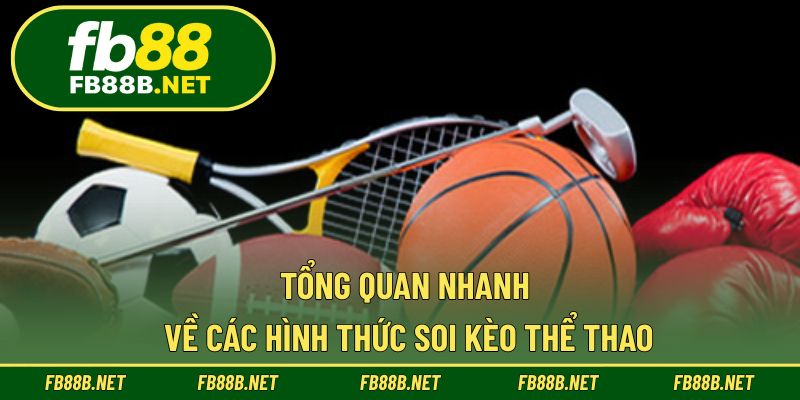 Tổng quan nhanh về các hình thức soi kèo thể thao