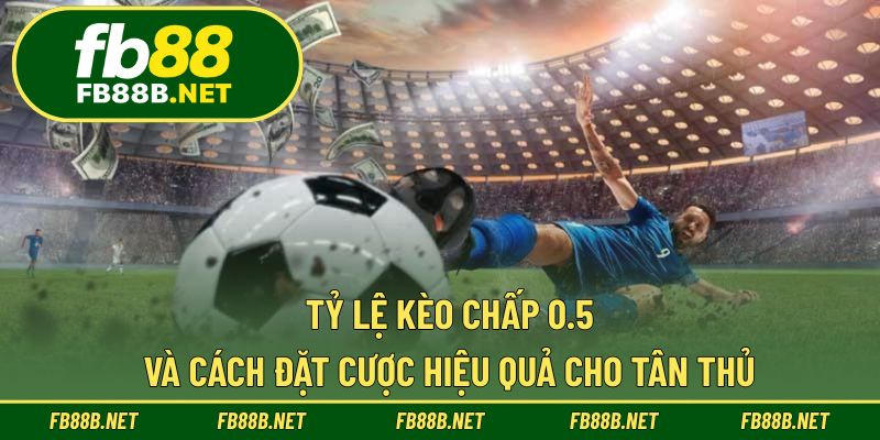 Tỷ Lệ Kèo Chấp 0.5